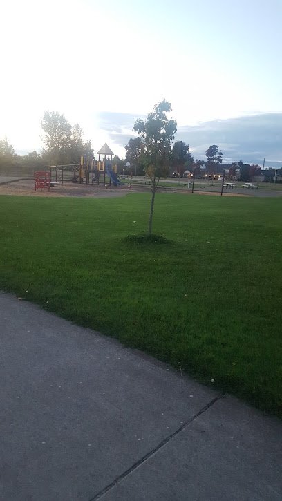 Soccer Field image 1
