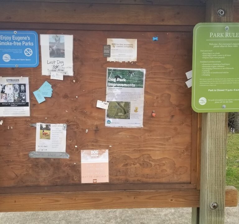 Soccer Field image 3