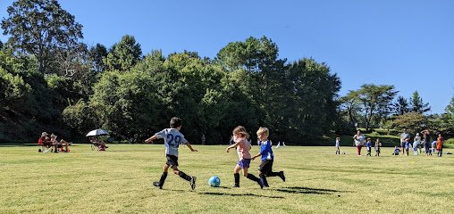 Soccer Field image 1
