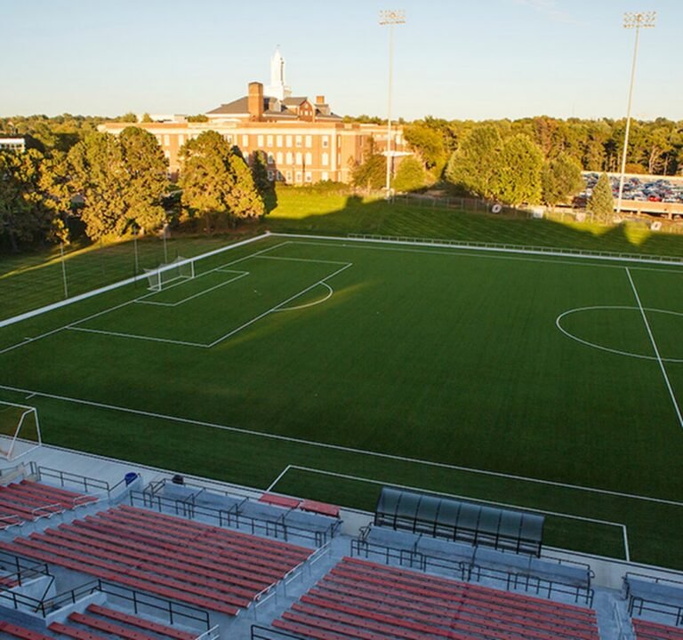 Soccer Field image 2