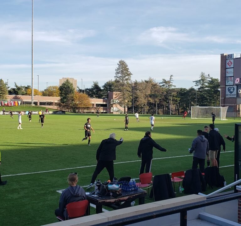 Soccer Field image 3