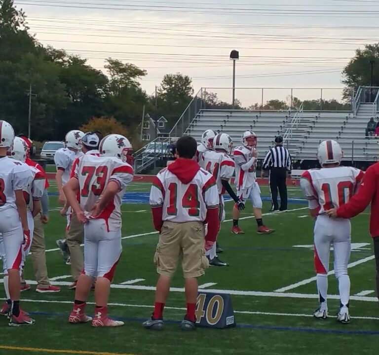 Soccer Field image 2