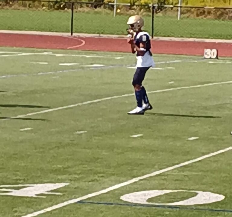 Soccer Field image 3