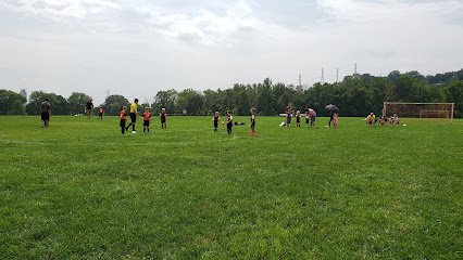 Soccer Field image 1