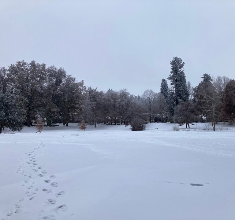 Soccer Field image 2