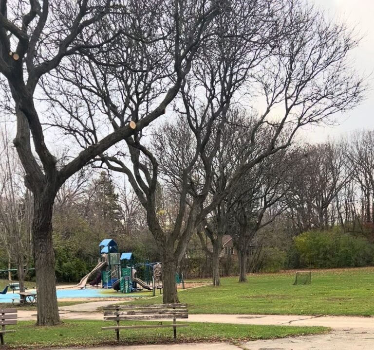 Soccer Field image 4