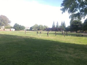Soccer Field image 1