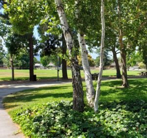Soccer Field image 2