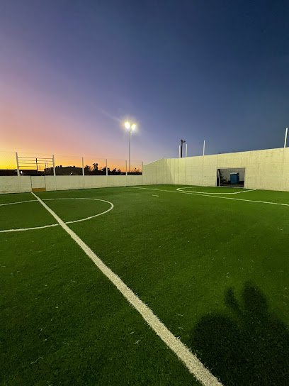 Soccer Field image 1