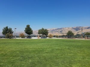 Soccer Field image 1