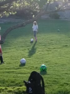 Soccer Field image 1