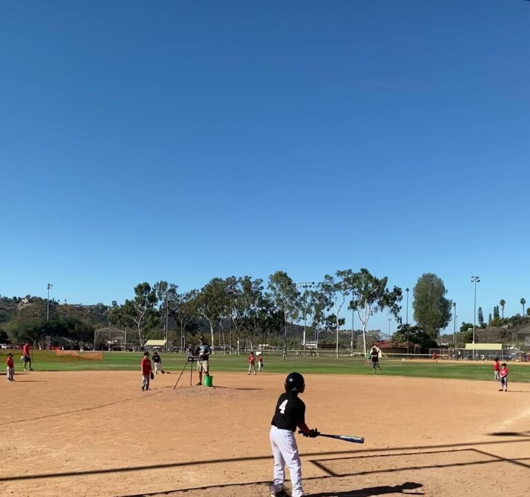 Soccer Field image 4