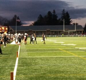 Soccer Field image 2