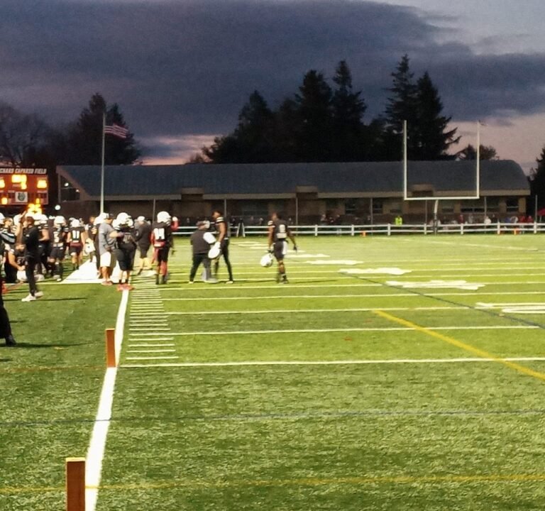 Soccer Field image 2