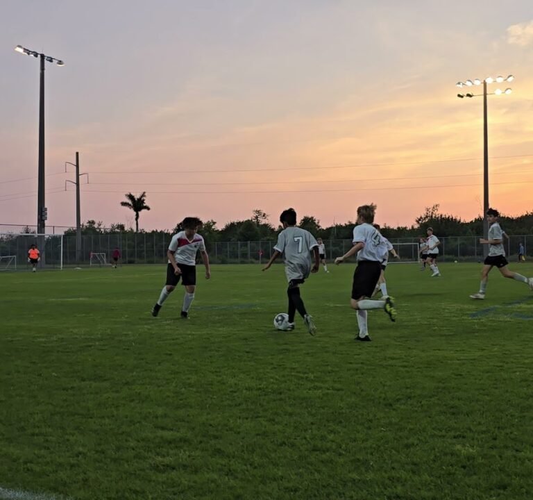 Soccer Field image 4