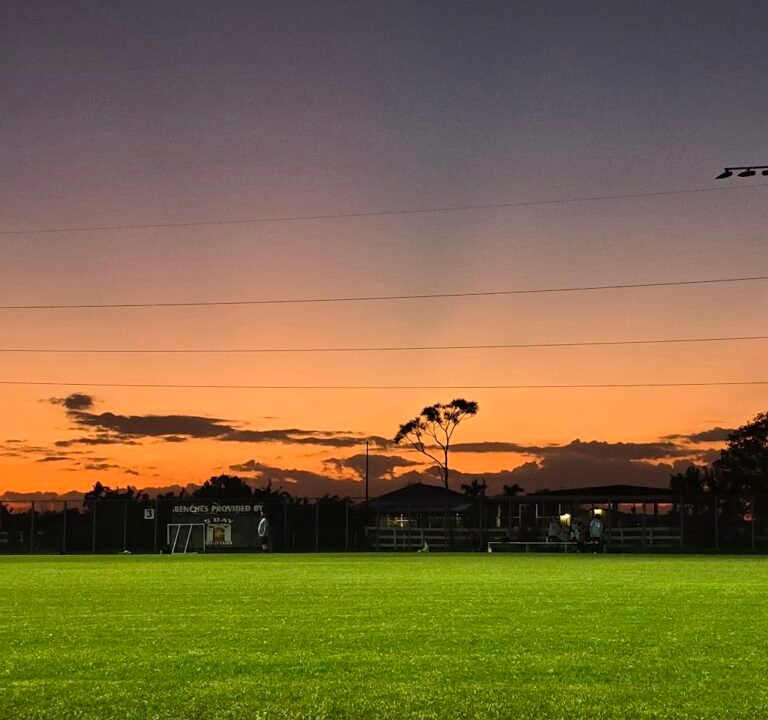 Soccer Field image 2