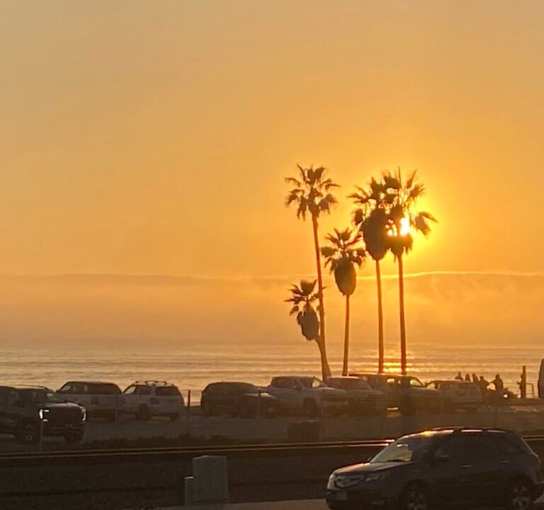 Soccer Field image 3