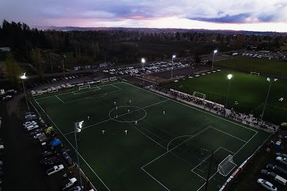 Soccer Field image 1