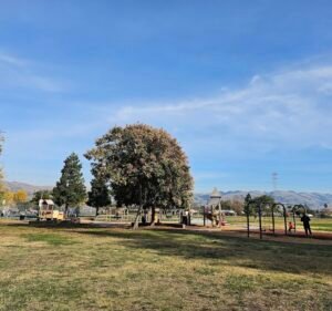 Soccer Field image 2