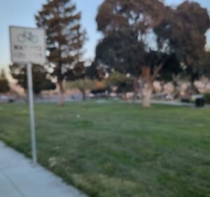 Soccer Field image 4