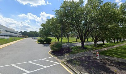 Soccer Field image 1