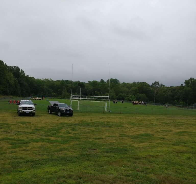 Soccer Field image 2