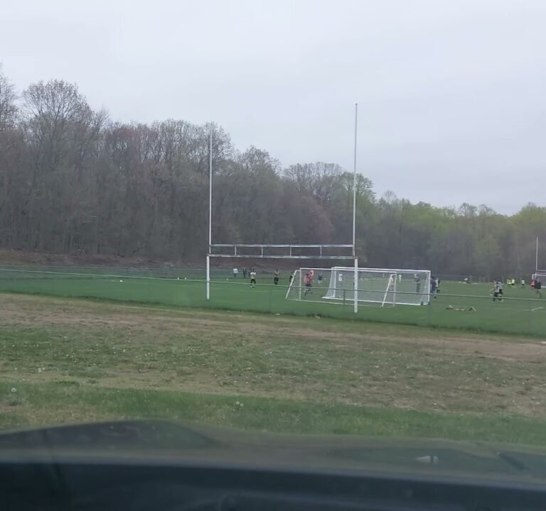 Soccer Field image 4