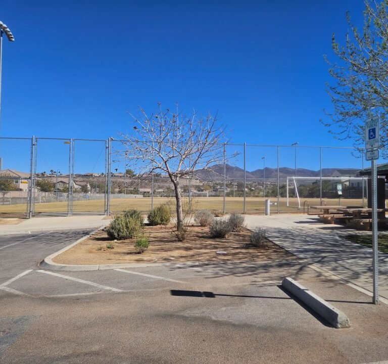 Soccer Field image 3