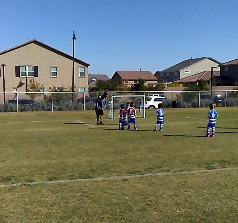 Soccer Field image 4