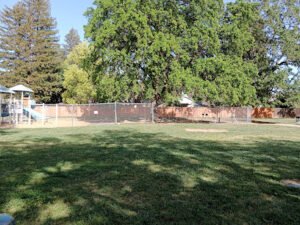 Soccer Field image 1