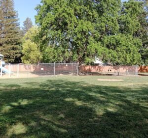Soccer Field image 2