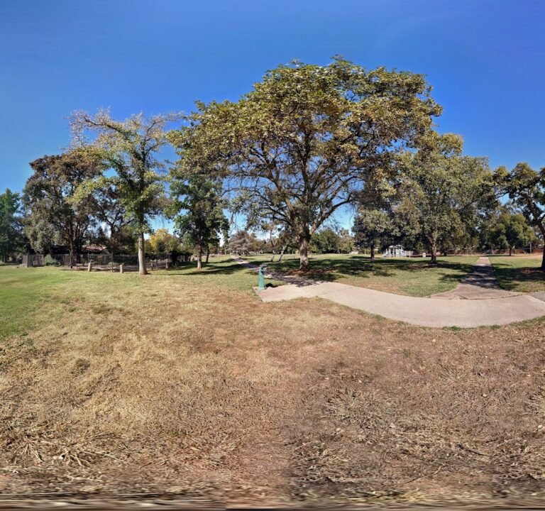 Soccer Field image 3