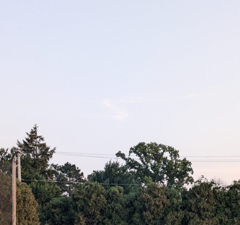 Soccer Field image 3