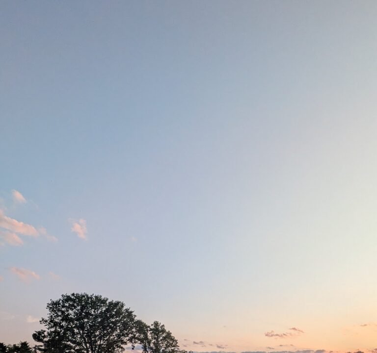 Soccer Field image 2