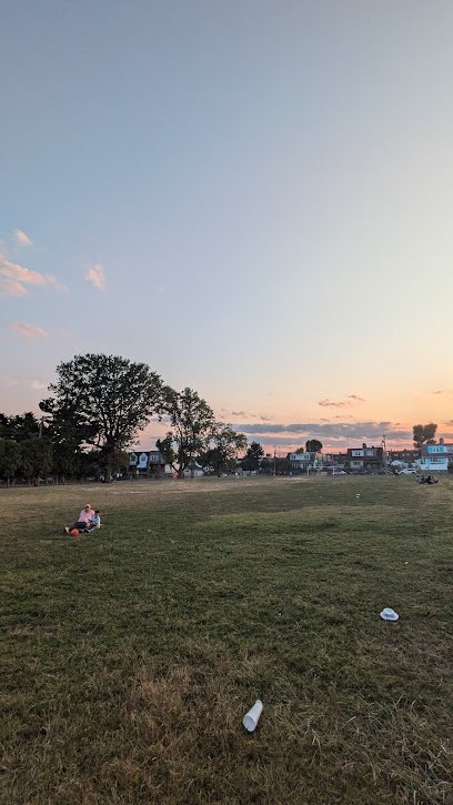 Soccer Field image 1
