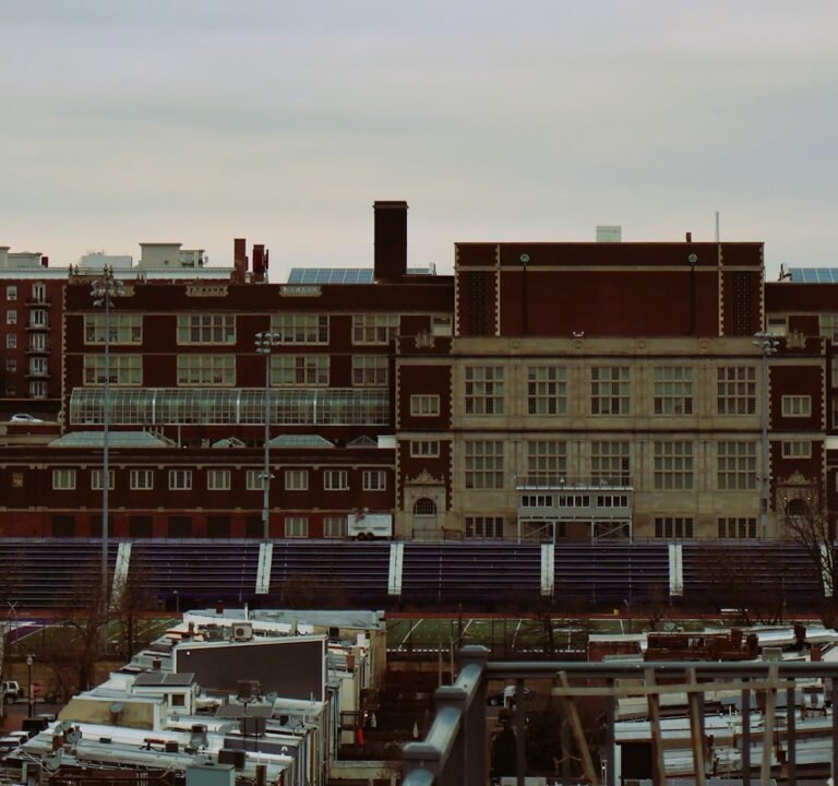 Soccer Field image 3