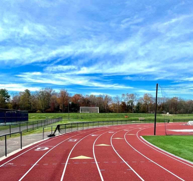 Soccer Field image 2
