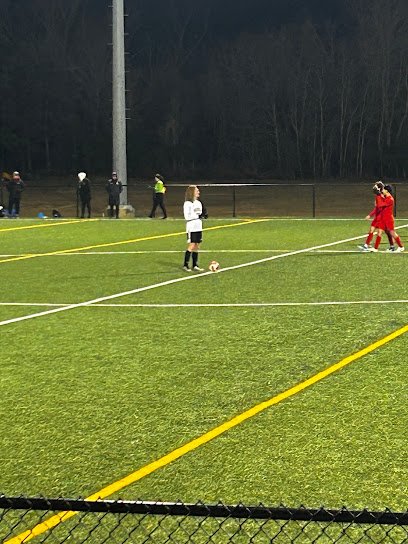 Soccer Field image 1