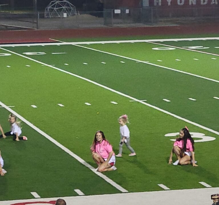 Soccer Field image 3