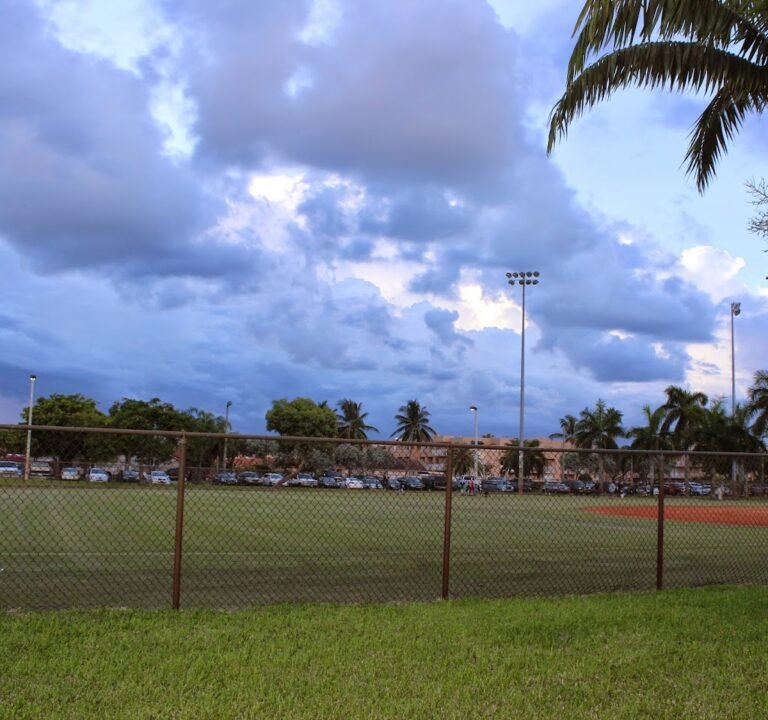 Soccer Field image 3