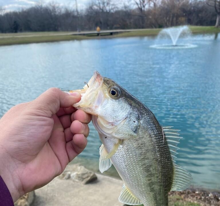 Soccer Field image 3