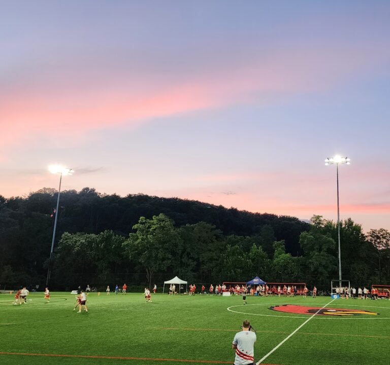 Soccer Field image 2