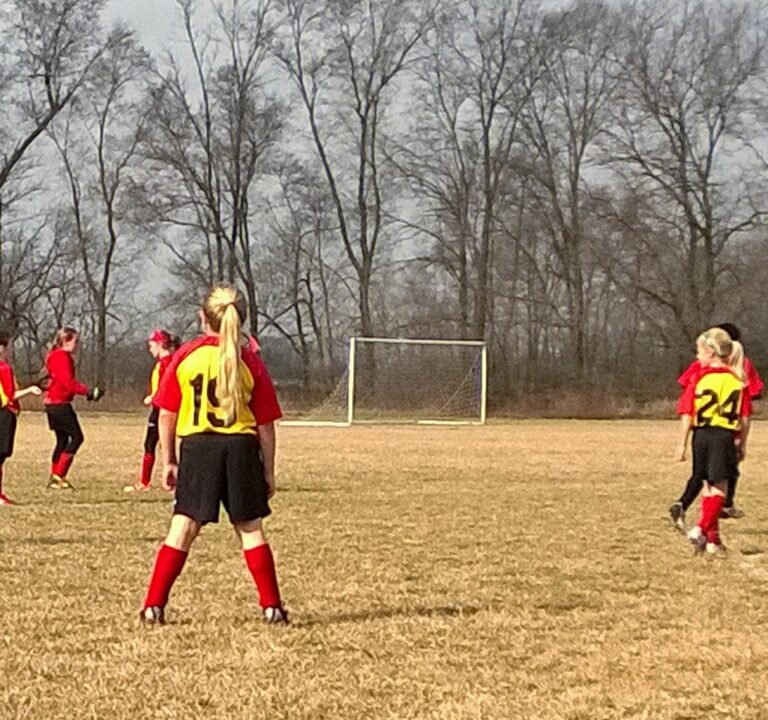 Soccer Field image 3