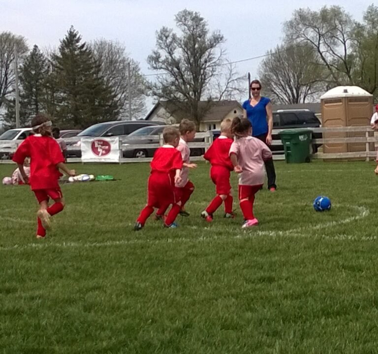 Soccer Field image 2