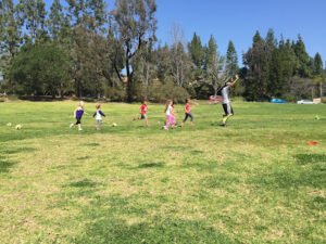 Soccer Field image 1