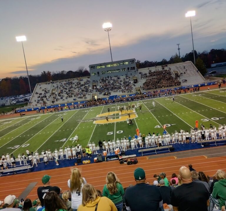Soccer Field image 2