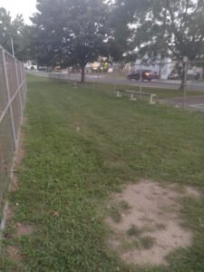 Soccer Field image 1