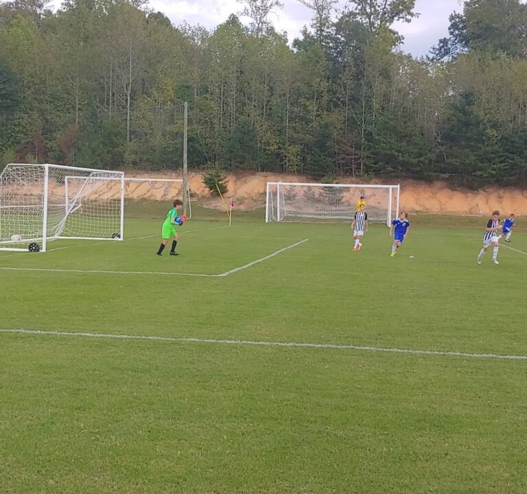 Soccer Field image 3