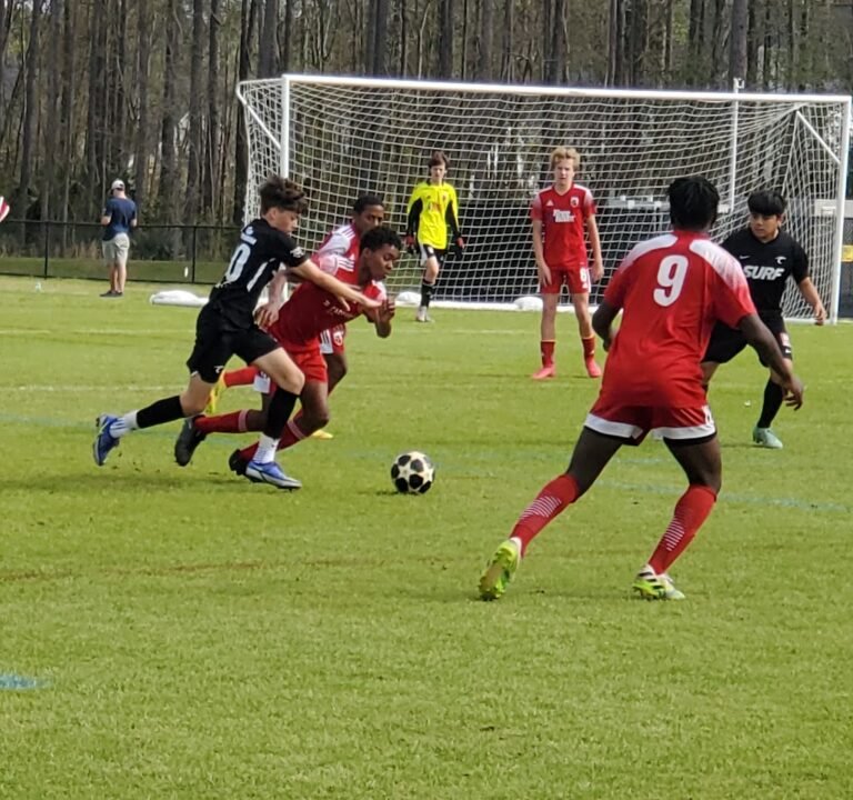 Soccer Field image 4