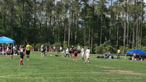 Soccer Field image 1